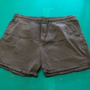 American Eagle Mens Shorts